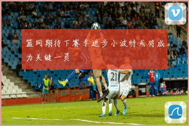 篮网期待下赛季进步小波特或将成为关键一员