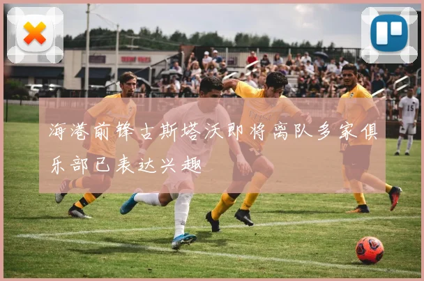 海港前锋古斯塔沃即将离队多家俱乐部已表达兴趣