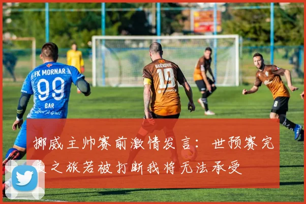 挪威主帅赛前激情发言：世预赛完美之旅若被打断我将无法承受