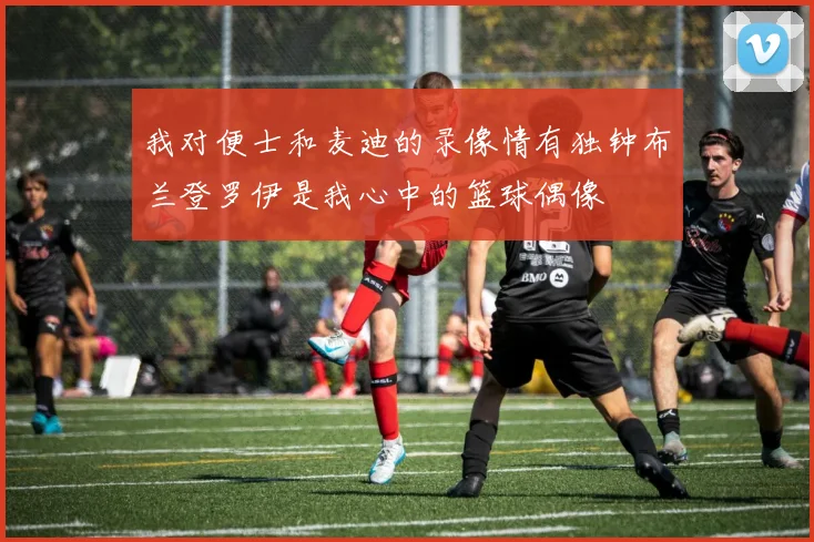 我对便士和麦迪的录像情有独钟布兰登罗伊是我心中的篮球偶像