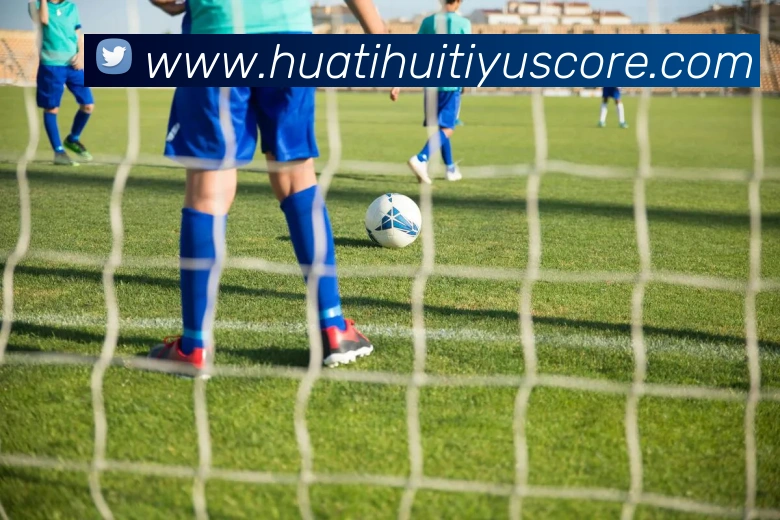 华体会体育APP 封面图